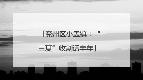 兖州区小孟镇：“三夏”收割话丰年