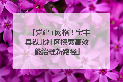 党建+网格！宝丰县铁北社区探索高效能治理新路径