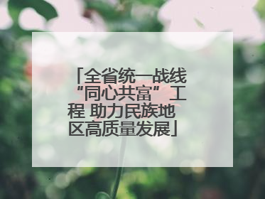 全省统一战线“同心共富”工程 助力民族地区高质量发展
