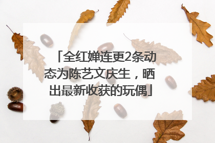 全红婵连更2条动态为陈艺文庆生，晒出最新收获的玩偶