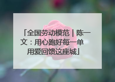 全国劳动模范｜陈一文：用心跑好每一单 用爱回馈这座城