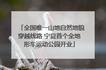 全国唯一山地自然地貌穿越线路 宁夏首个全地形车运动公园开业