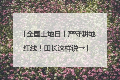 全国土地日丨严守耕地红线！田长这样说→