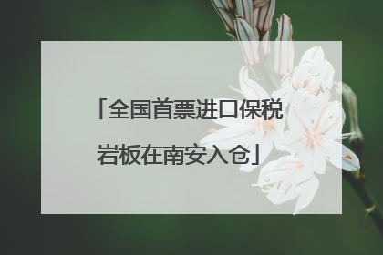 全国首票进口保税岩板在南安入仓