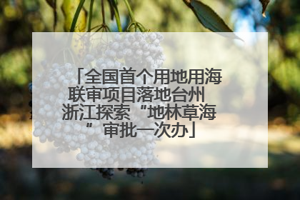 全国首个用地用海联审项目落地台州 浙江探索“地林草海”审批一次办