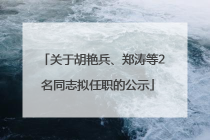关于胡艳兵、郑涛等2名同志拟任职的公示