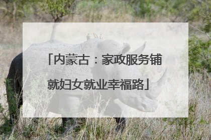 内蒙古：家政服务铺就妇女就业幸福路