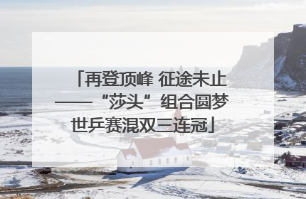 再登顶峰 征途未止——“莎头”组合圆梦世乒赛混双三连冠