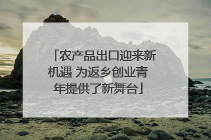 农产品出口迎来新机遇 为返乡创业青年提供了新舞台