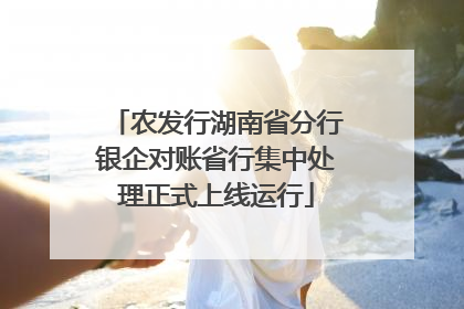 农发行湖南省分行银企对账省行集中处理正式上线运行