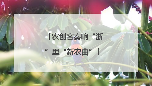 农创客奏响“浙”里“新农曲”