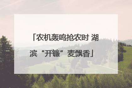 农机轰鸣抢农时 湖滨“开镰”麦飘香