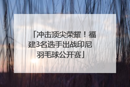 冲击顶尖荣耀！福建3名选手出战印尼羽毛球公开赛