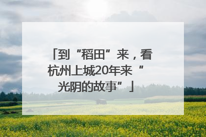 到“稻田”来，看杭州上城20年来“光阴的故事”