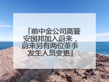 前中金公司高管安国邦加入蔚来，蔚来另有两位董事发生人员变更