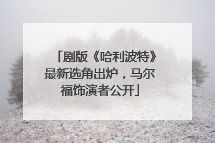 剧版《哈利波特》最新选角出炉，马尔福饰演者公开