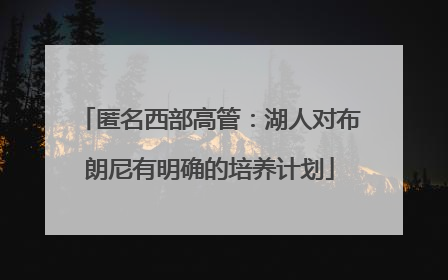 匿名西部高管：湖人对布朗尼有明确的培养计划