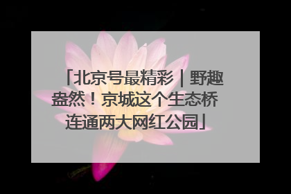 北京号最精彩｜野趣盎然！京城这个生态桥连通两大网红公园