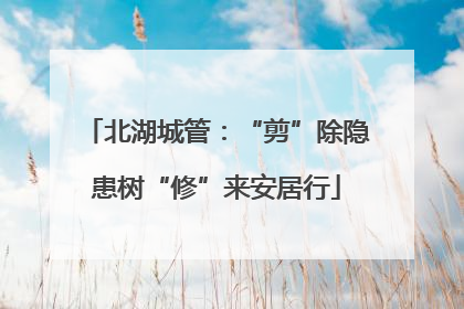 北湖城管：“剪”除隐患树“修”来安居行