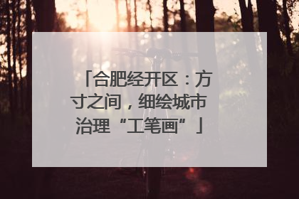 合肥经开区：方寸之间，细绘城市治理“工笔画”