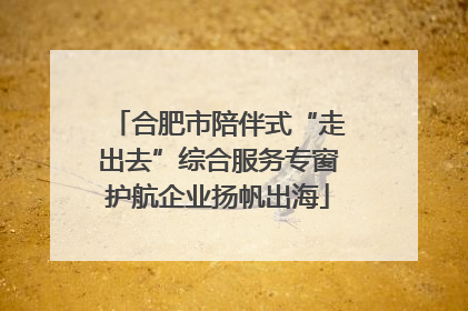 合肥市陪伴式“走出去”综合服务专窗护航企业扬帆出海