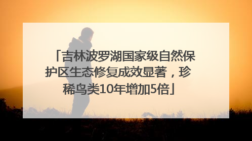 吉林波罗湖国家级自然保护区生态修复成效显著，珍稀鸟类10年增加5倍