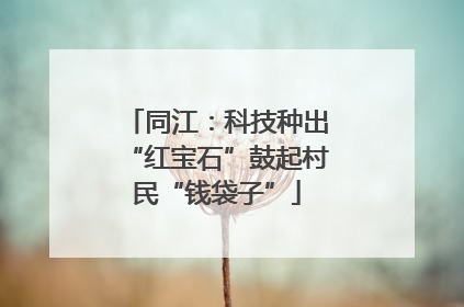 同江：科技种出“红宝石”鼓起村民“钱袋子”
