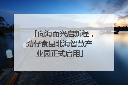 向海而兴启新程，劲仔食品北海智慧产业园正式启用