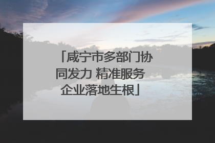咸宁市多部门协同发力 精准服务企业落地生根