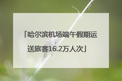 哈尔滨机场端午假期运送旅客16.2万人次