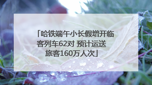 哈铁端午小长假增开临客列车62对 预计运送旅客160万人次