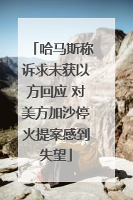 哈马斯称诉求未获以方回应 对美方加沙停火提案感到失望