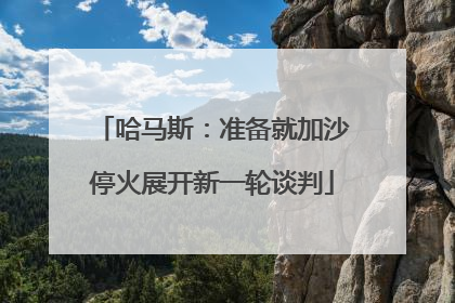 哈马斯：准备就加沙停火展开新一轮谈判