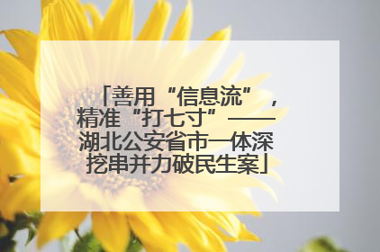 善用“信息流”，精准“打七寸”——湖北公安省市一体深挖串并力破民生案