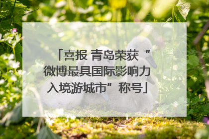 喜报 青岛荣获“微博最具国际影响力入境游城市”称号