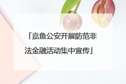 嘉鱼公安开展防范非法金融活动集中宣传