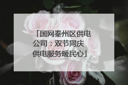 国网秦州区供电公司：双节同庆 供电服务暖民心
