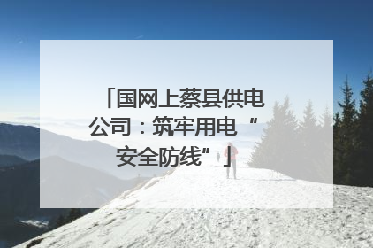 国网上蔡县供电公司：筑牢用电“安全防线”