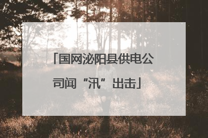 国网泌阳县供电公司闻“汛”出击