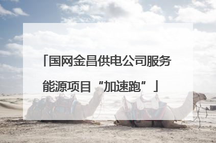 国网金昌供电公司服务能源项目“加速跑”