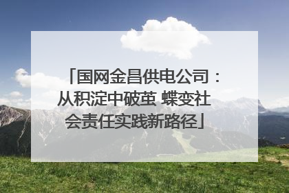国网金昌供电公司：从积淀中破茧 蝶变社会责任实践新路径