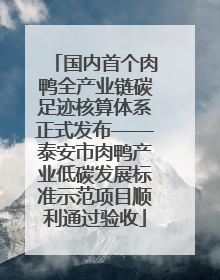 国内首个肉鸭全产业链碳足迹核算体系正式发布——泰安市肉鸭产业低碳发展标准示范项目顺利通过验收