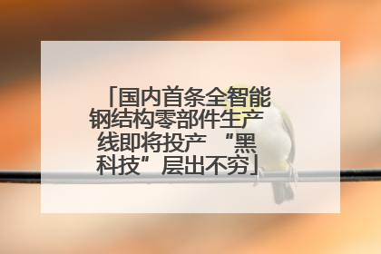 国内首条全智能钢结构零部件生产线即将投产 “黑科技”层出不穷