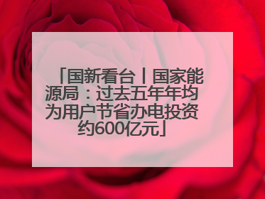 国新看台丨国家能源局：过去五年年均为用户节省办电投资约600亿元
