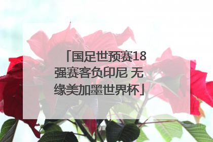 国足世预赛18强赛客负印尼 无缘美加墨世界杯