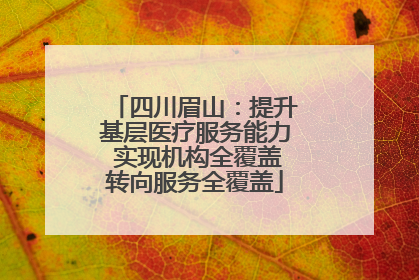 四川眉山：提升基层医疗服务能力 实现机构全覆盖转向服务全覆盖