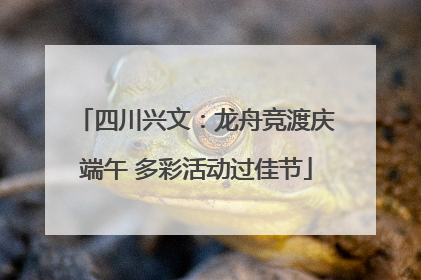 四川兴文：龙舟竞渡庆端午 多彩活动过佳节