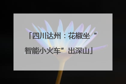 四川达州：花椒坐“智能小火车”出深山