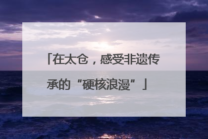 在太仓，感受非遗传承的“硬核浪漫”
