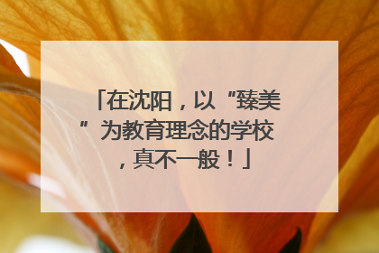 在沈阳，以“臻美”为教育理念的学校，真不一般！